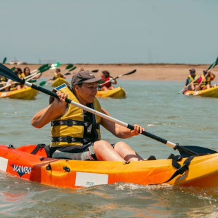 Kayak hasta el Islote de Sancti Petri (Cádiz)