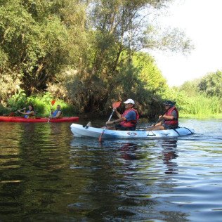 Descenso del Ebro en Kayak (Tarragona)