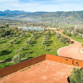 Visita Plus: Visita a LA Almazara y Museo del AOVE con Audioguía y Audiocata (Ronda, Málaga)