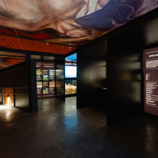 Visita Plus: Visita a LA Almazara y Museo del AOVE con Audioguía y Audiocata (Ronda, Málaga)