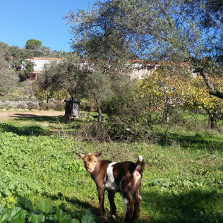 Escapada Rural de 2 Noches con Desayuno en Hotel La Era de Aracena 3* (Huelva)