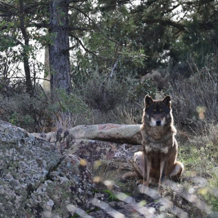 Entrada a La Maleza Parque de Fauna (Teruel)