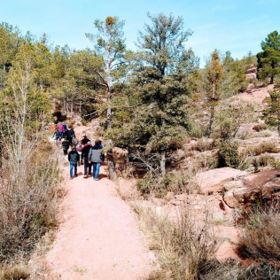 Entrada a La Maleza Parque de Fauna (Teruel)