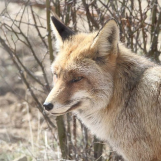 Entrada a La Maleza Parque de Fauna (Teruel)