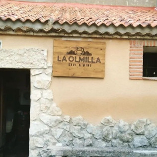 Visita y Degustación de Vino en Jarrillo de Barro con Aperitivo en Bodega La Olmilla (Peñafiel, Valladolid)
