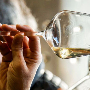 Picnic entre Viñas: Visita, Degustación y Comida para dos en Celler La Vinyeta (Girona)