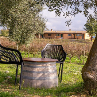 Visita a Bodega La Vinyeta con Desayuno y Cata de Vinos para dos en Mollet de Peralada (Girona)