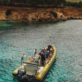 Excursión en Lancha con Avistamiento de Delfines (Can Picafort, Mallorca)