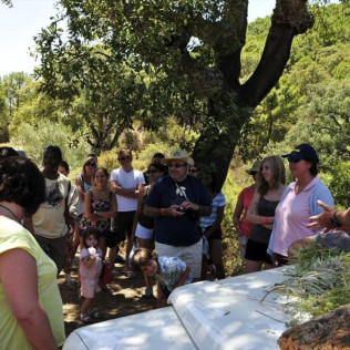 Jeep Tour: Ruta en Land Rover 4x4 (San Pedro Alcántara, Málaga)