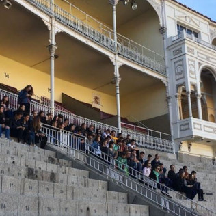 Tour por la Plaza de Toros de Las Ventas y Visita a Museo Taurino (Madrid)