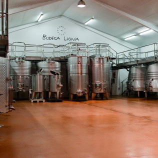 Visita a Bodega, Coupage, Cata de Vinos y Maridaje de Ibéricos en Bodegas Licina (Morata de Tajuña, Madrid)