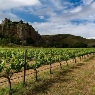 Visita a Bodega y Cata de Vinos en Bodegas Licina (Morata de Tajuña, Madrid)