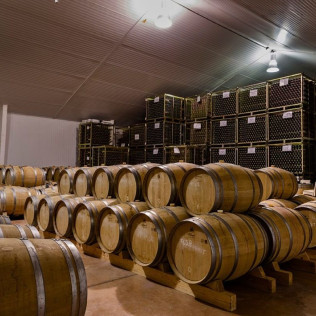 Visita a Bodega y Cata de Vinos en Bodegas Licina (Morata de Tajuña, Madrid)