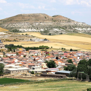 Visita a los Viñedos y a las Bodegas Malacuera con Degustación de Vinos para dos (Castrillo de Duero, Valladolid)