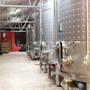 Visita a los Viñedos y a las Bodegas Malacuera con Degustación de Vinos para dos (Castrillo de Duero, Valladolid)