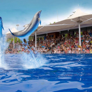 Entrada a Marineland Mallorca (Costa d’en Blanes, Mallorca)