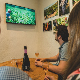 Degustación de Vinos con Aperitivo para dos en Mas Bertran (Sant Martí Sarroca, Barcelona)