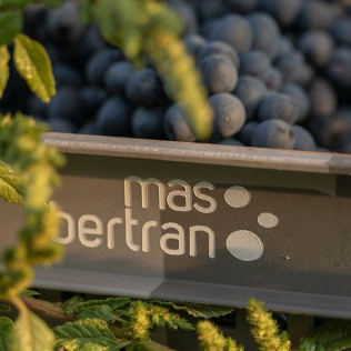 Degustación de Vinos con Aperitivo para dos en Mas Bertran (Sant Martí Sarroca, Barcelona)