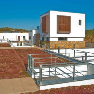 Visita Premium: Visita Guiada a Bodega Mas de Rander y Viñas con Cata de 5 Vinos y Aceite para dos (Torreblanca, Castellón)
