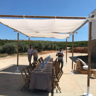 Visita Estándar: Visita Guiada a Bodega Mas de Rander y Viñas con Cata de 4 Vinos (Torreblanca, Castellón)