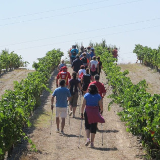 Visita Guiada y Cata de Vino en Celler Mas Vicenç (Cabra del Camp, Tarragona)