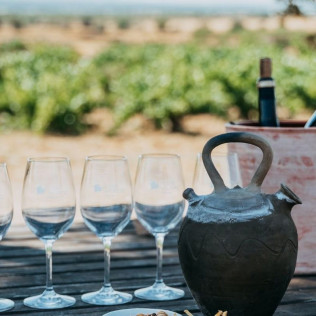 Visita Guiada y Cata de Vino en Celler Mas Vicenç (Cabra del Camp, Tarragona)