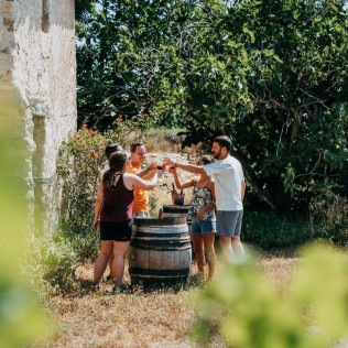 Visita Guiada y Cata de Vino en Celler Mas Vicenç (Cabra del Camp, Tarragona)