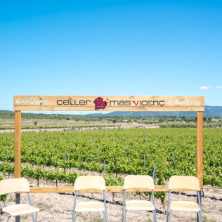 Visita Guiada y Cata de Vino en Celler Mas Vicenç (Cabra del Camp, Tarragona)