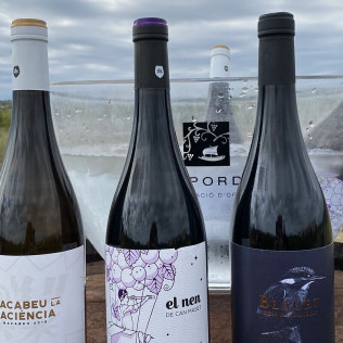 Visita a Masetplana con Cata de Vino y Aceite y Visita a Búnker para dos (Garriguella, Girona)