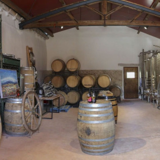 Visita a la Bodega y Viñedos El Jardí dels Sentits, Cata y Masterclass de Vinos para dos (Sant Sebastià dels Gorgs, Barcelona)