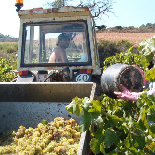 Visita a Bodega Miquel J. Jané y Cata de 3 vinos para dos (Barcelona) 