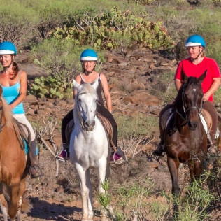 Paseo a Caballo (El Salobre, Gran Canaria)