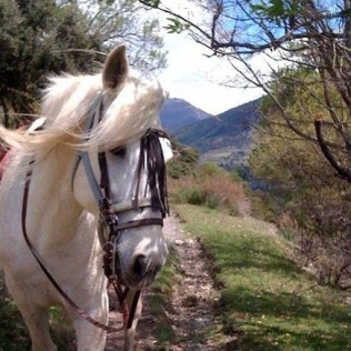 Ruta a Caballo (Llavorsí, Lleida)
