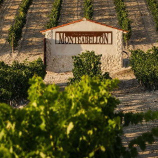 Experiencia Matambres: Visita a Bodega y Cata de Vino para dos en Bodegas Monteabellón (Nava de Roa, Burgos)