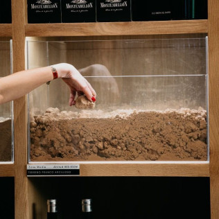 Experiencia Matambres: Visita a Bodega y Cata de Vino para dos en Bodegas Monteabellón (Nava de Roa, Burgos)