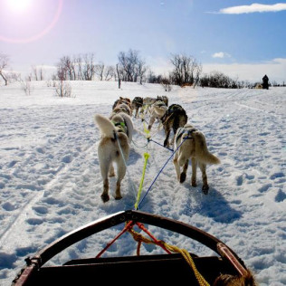 Mushing: Excursión en Trineo por el Bosque de Dossau (Vall d'Aran, Lleida)
