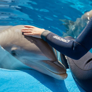Entrada a Mundomar y Encuentro con Delfines (Benidorm, Alicante)