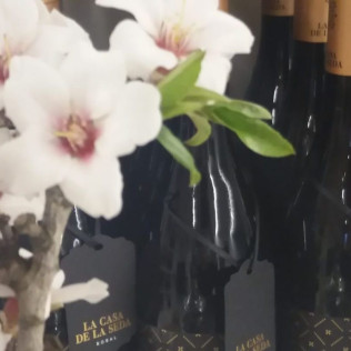 Visita Orígenes: Visita y Cata de Vinos en Bodegas Murviedro (Requena, Valencia)