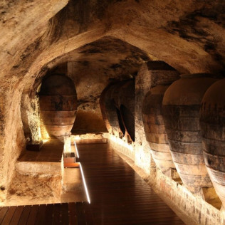Visita Schenk: Visita a Bodega con Cata de Vinos Premium y Maridaje de Ibéricos en Bodegas Murviedro (Requena, Valencia)