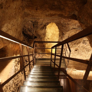 Visita Schenk: Visita a Bodega con Cata de Vinos Premium y Maridaje de Ibéricos en Bodegas Murviedro (Requena, Valencia)