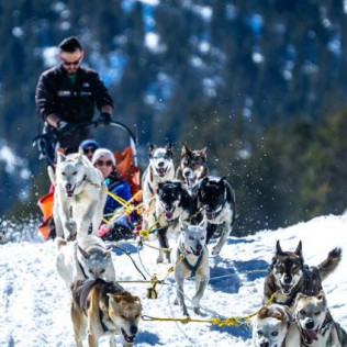 OFERTA: Mushing y Moto de Nieve con Seguro para dos en Grandvalira (Andorra)