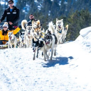 OFERTA: Mushing y Moto de Nieve con Seguro para dos en Grandvalira (Andorra)
