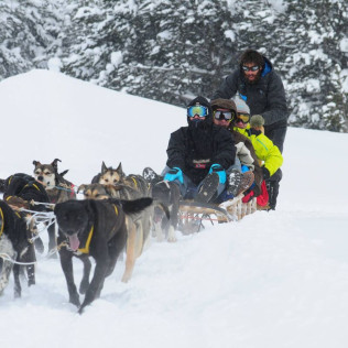 Mushing por la Senda de los Osos (Vall d'Aran, Lleida)