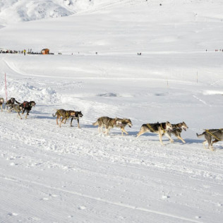 Mushing por la Senda de los Osos (Vall d'Aran, Lleida)