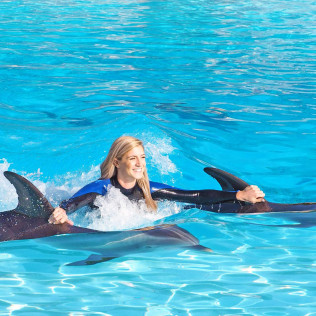 Dolphin Emotions Exclusive: Nadar con Delfines: Sesión Privada en Exclusiva y Entrada a Zoomarine para dos (Algarve, Portugal)