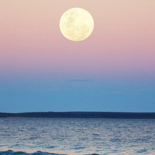 Navegación Nocturna Bajo la Luna Llena (Sotogrande, Cádiz)