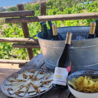 Visita a Bodega Nilva con Cata de Vinos y Tapas para cuatro personas (Manilva, Málaga)