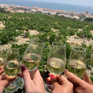 Visita a Bodega Nilva con Cata de Vinos y Tapas para cuatro personas (Manilva, Málaga)