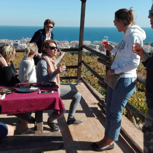 Visita a Bodega Nilva con Cata de Vinos y Tapas para cuatro personas (Manilva, Málaga)
