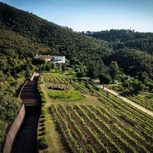 Escapada con Cena en Finca Bell-Lloc y Visita Guiada al Celler Brugarol con Degustación de Vinos, Aceites y Productos B (Palamós, Girona)